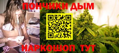 МДПВ Будённовск
