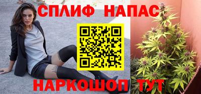 МДПВ Будённовск