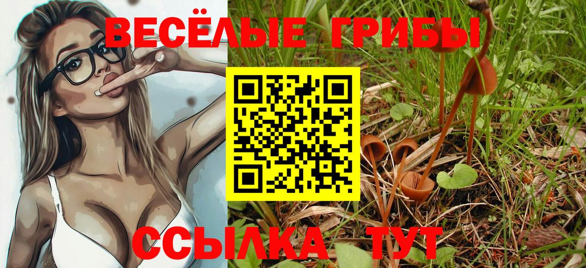 Мичуринск  где купить наркоту  Псилоцибиновые грибы Psilocybe  Вход с VPN  Псилоцибиновые грибы MAGIC MUSHROOMS 